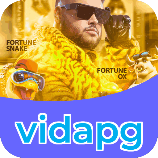vidapg Platform